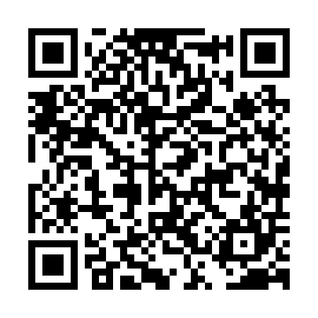 QR code for DSX204