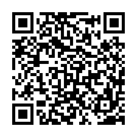 QR code for DSX216