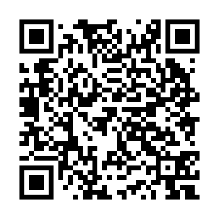 QR code for DSX230