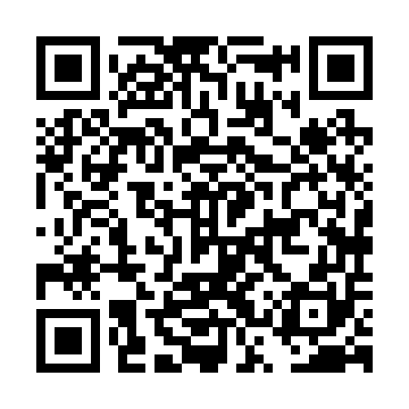 QR code for DSX250