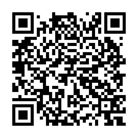 QR code for DSX273