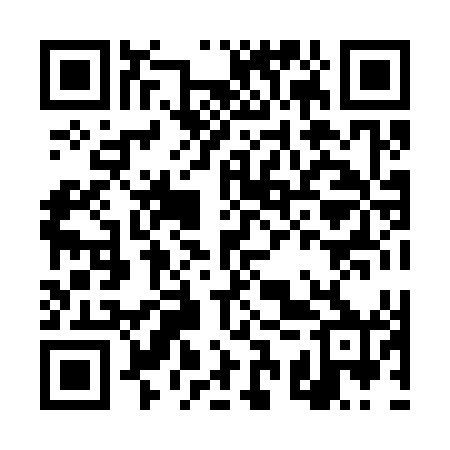 QR code for DSX340