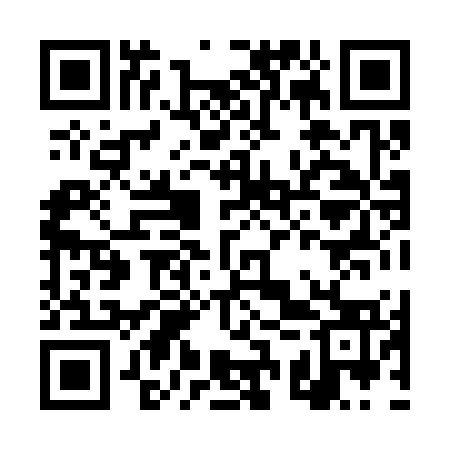 QR code for DSX373
