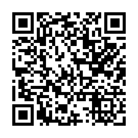 QR code for DSX423