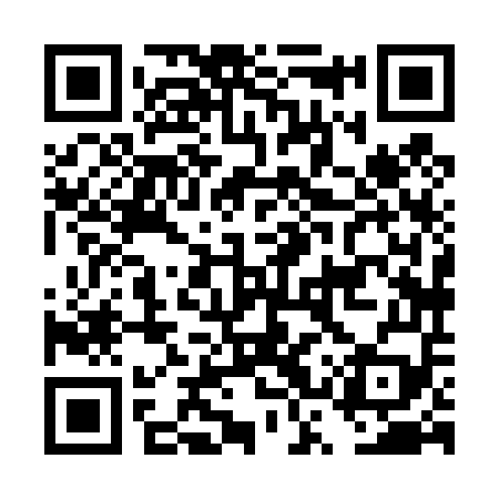 QR code for DSX459
