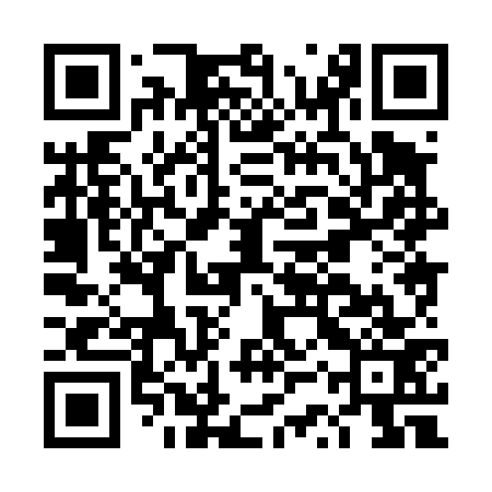 QR code for DSX473