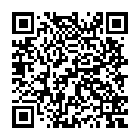 QR code for DSX529