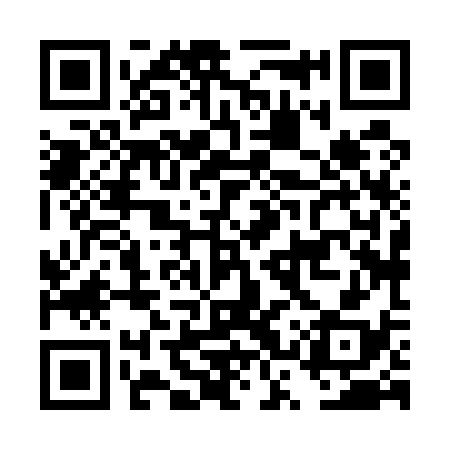 QR code for DSX538