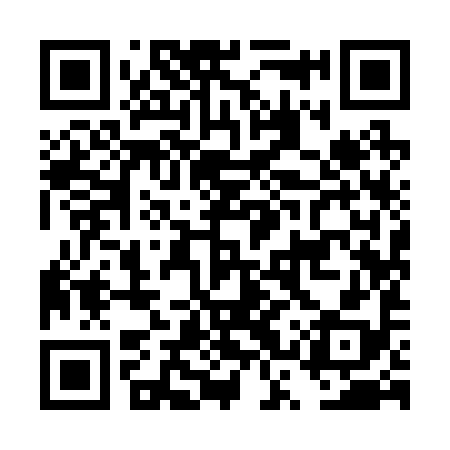 QR code for DSY298