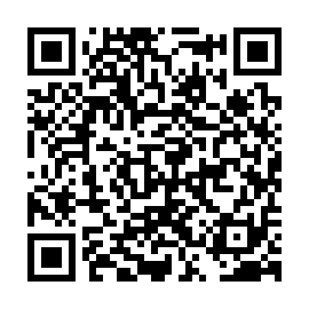 QR code for DSY311