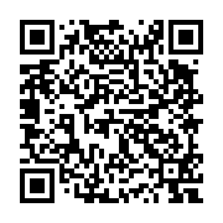 QR code for DSY491