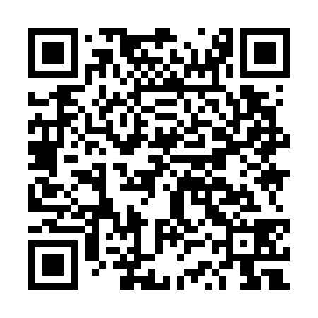 QR code for DSY738