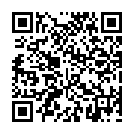 QR code for DSZ294