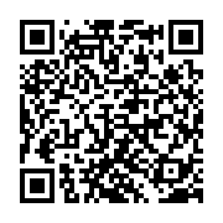 QR code for DTI339