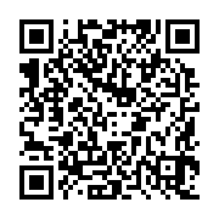 QR code for DTI383