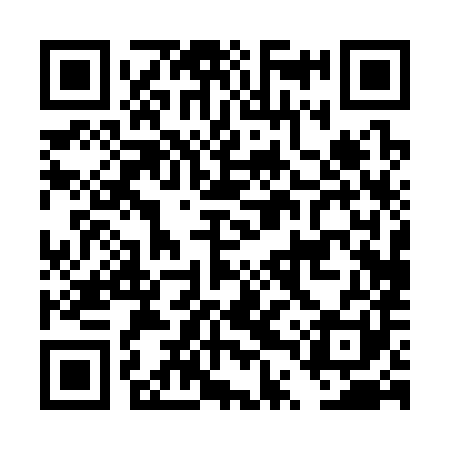 QR code for DTP381