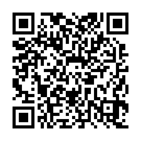 QR code for DTR233