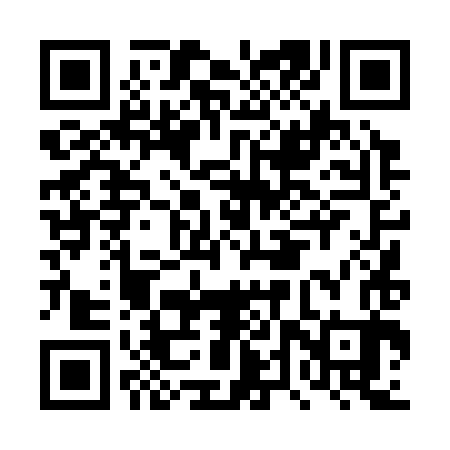 QR code for DTT383