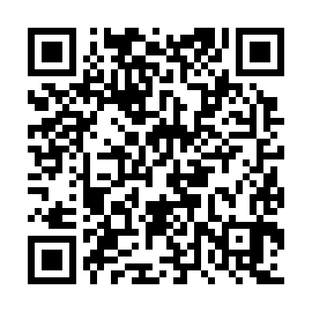 QR code for DTV383