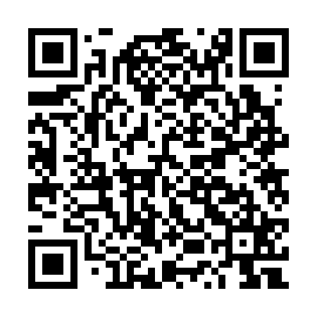 QR code for DUB325