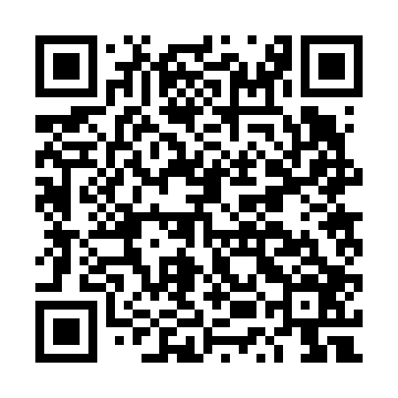 QR code for DUB606