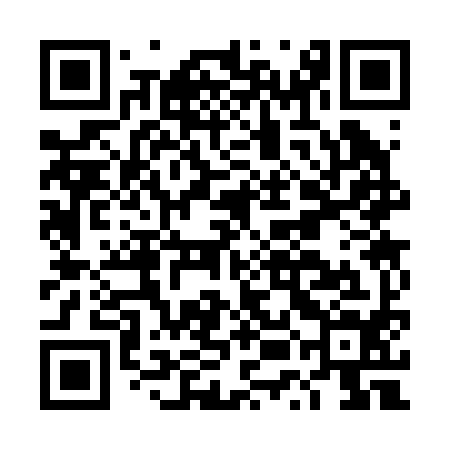 QR code for DUC294