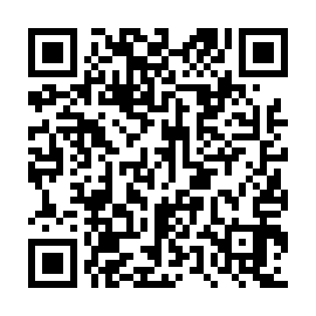 QR code for DUF413