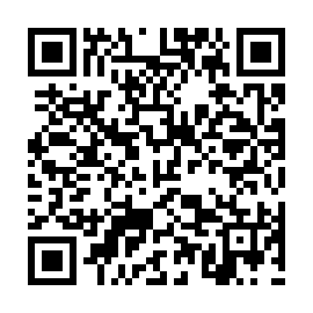 QR code for DUI395