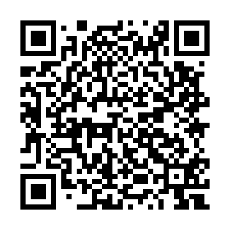 QR code for DUI511