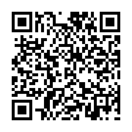 QR code for DUL785