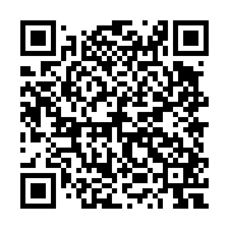 QR code for DUM441