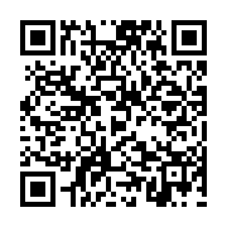 QR code for DUN203