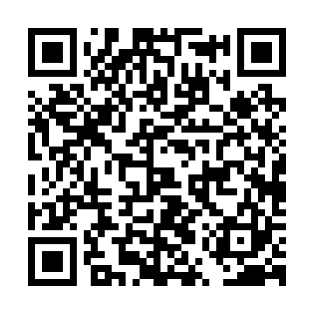 QR code for DUP223