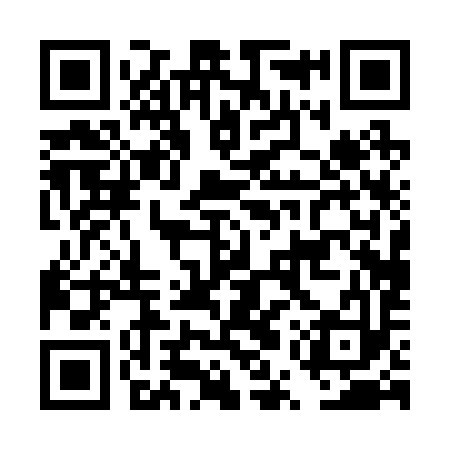 QR code for DUP293