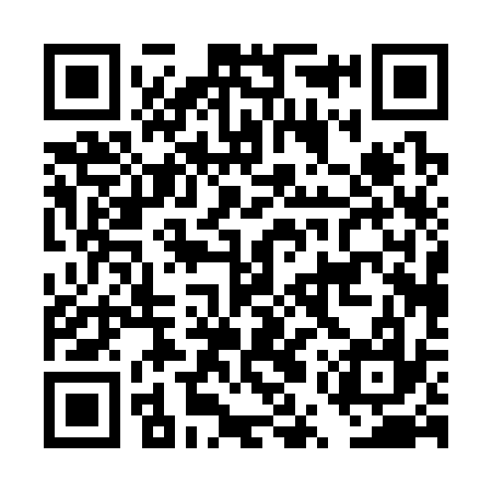 QR code for DUP337