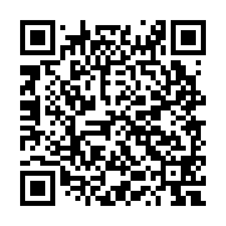 QR code for DUP398