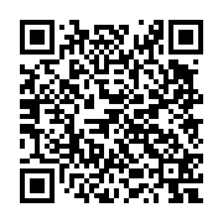 QR code for DUP421