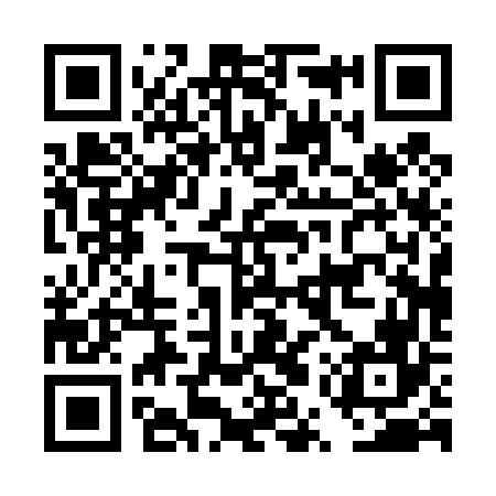 QR code for DUP466