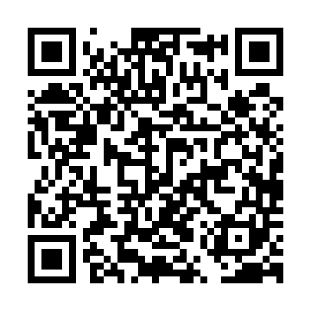 QR code for DUP541