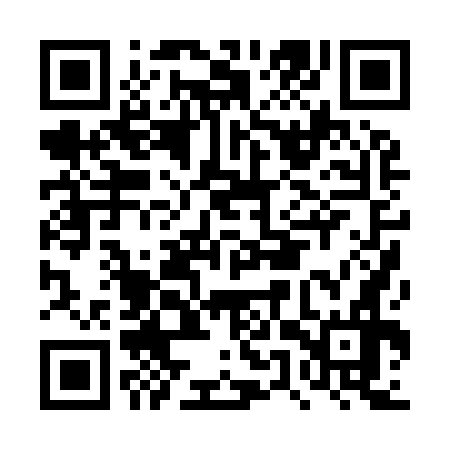 QR code for DUP976