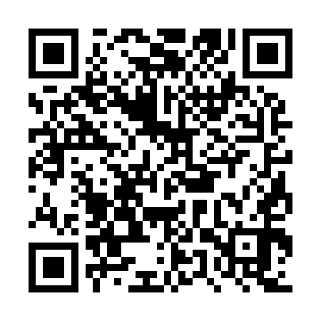 QR code for DUS950