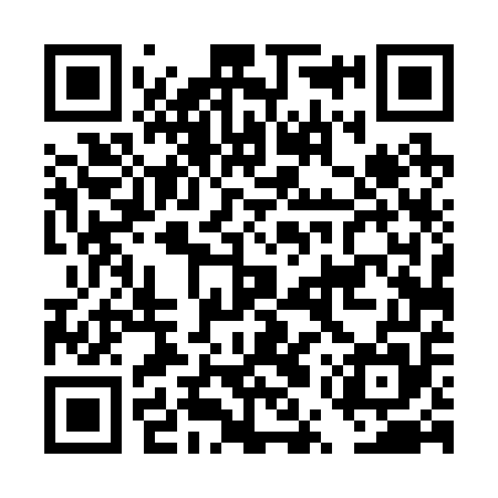 QR code for DUT255