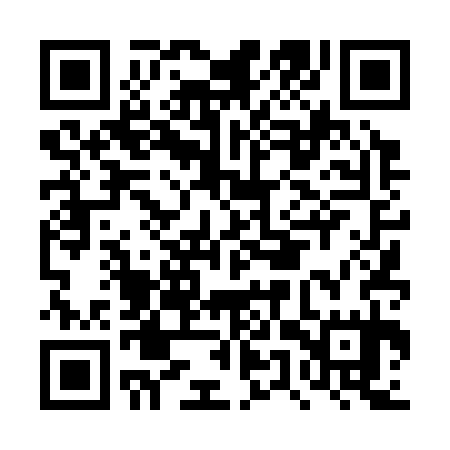 QR code for DUT335