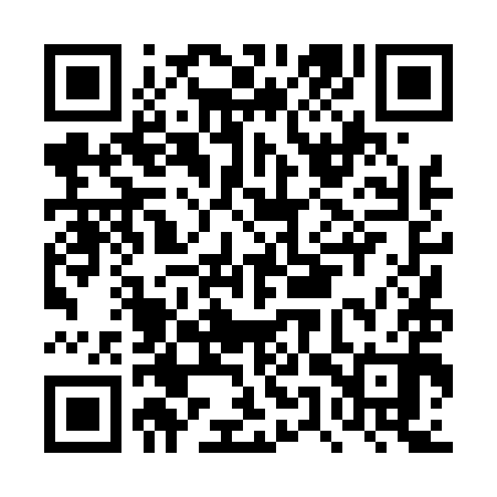 QR code for DUT490
