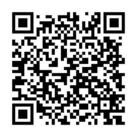 QR code for DUT529