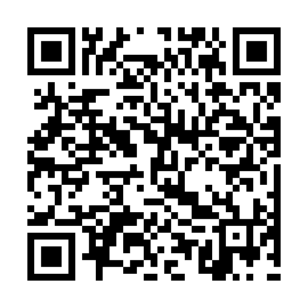 QR code for DUV294