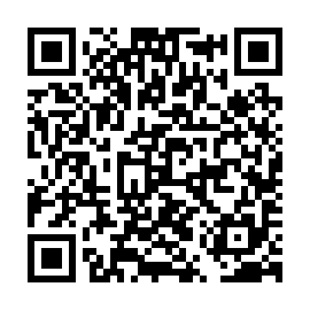 QR code for DUV295