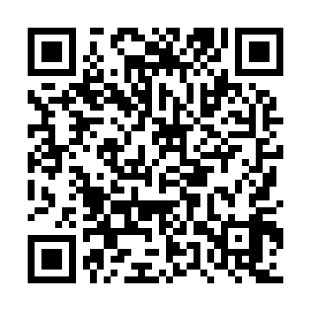 QR code for DUX919