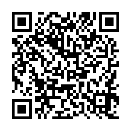 QR code for DUX955