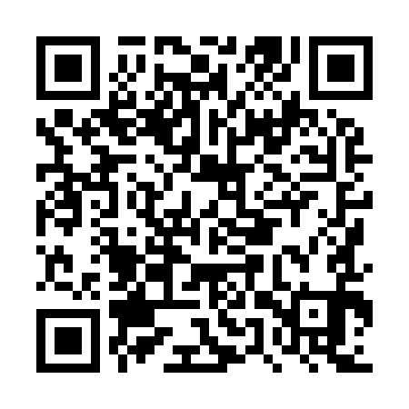 QR code for DUX991